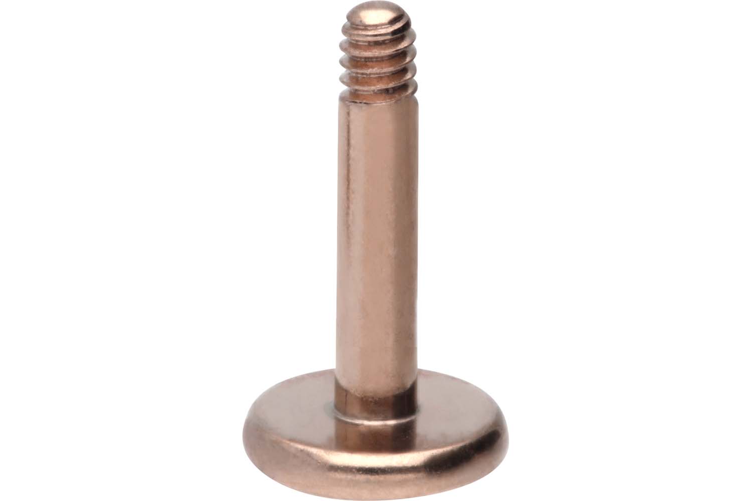Chirurgenstahl Labret Piercing ohne Kugel